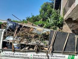 Best Same-Day Junk Removal Services  in Willacoochee, GA